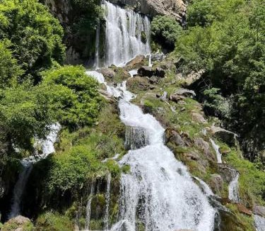 Berat House | Guest House Qafe Dardha - Tomorr National Park