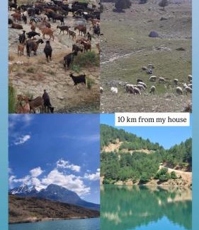 Berat House | Guest Parents House