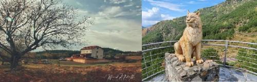 Sakës House | Guesthouse Natura Magica