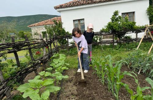 Sakës House | Guesthouse Vitoria - Mrizi i Zanave