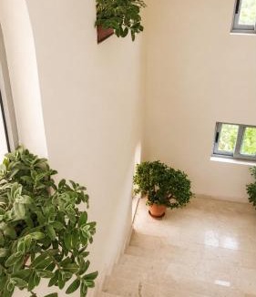 Qerek House | Hamallaj