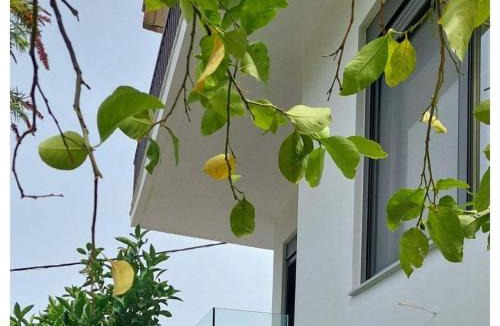 Kifisia House | Holiday Apartment Lagoudis, Kitries