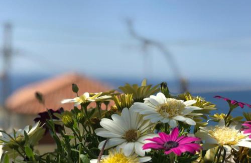 Piqeras House | Holiday Home Ali