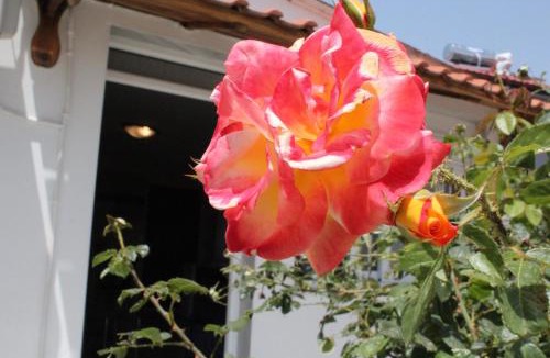 Kavala House | HOLIDAY KAVALA