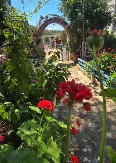 Himare Hotel | Holiwood