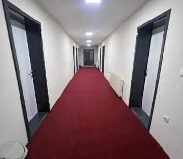 Kolovicë Hostel | Hostel 8