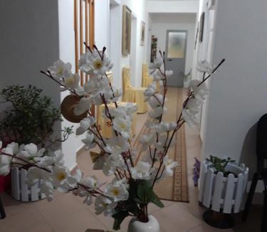 Fushebardhe Bed & Breakfast | Hotel Beso