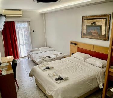Alexandroupoli Hotel | Hotel Erika
