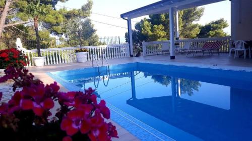 Shengjin Hotel | Hotel Gezimi
