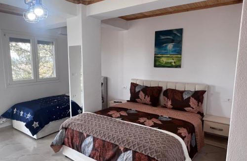 Shkoder Hotel | Hotel I Pari