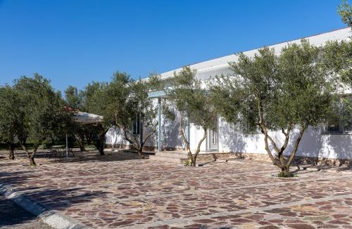 Shkoder County Apartment | Hotel Paradise