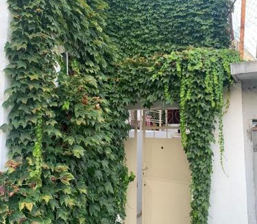 Berat Apartment | House of Leaves