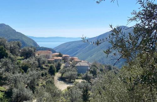 Himare House | Hummingbird