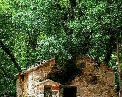 Isaris Hotel | i Agia Theodora