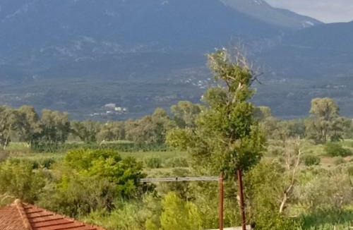 Piperitsa House | INFO στούντιο