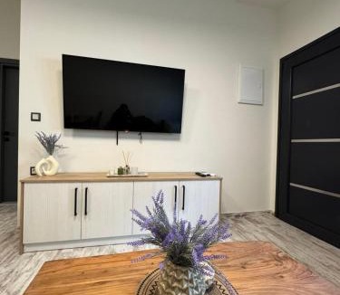 Prinos Apartment | Inos Apartment