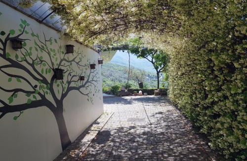 Dajt Villa | #IoniaHouse Surrel Villa