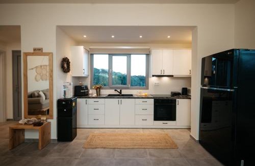 Taxiarchis Apartment | Irini's Beach House