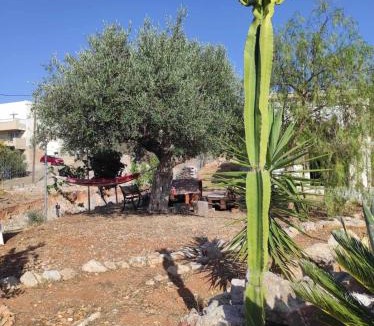 Agios Nikolaos Town Apartment | Krystalenia's Grove House