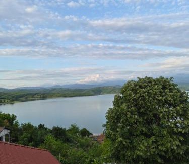 Sakës Apartment | Lakeview Ulez