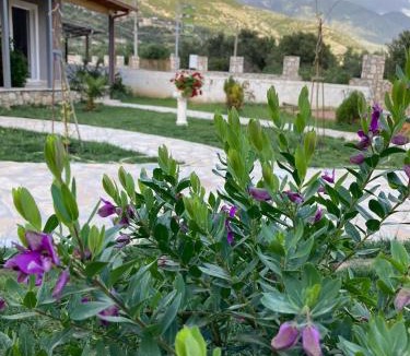 Qeparo Apartment | Lani luxury apartaments