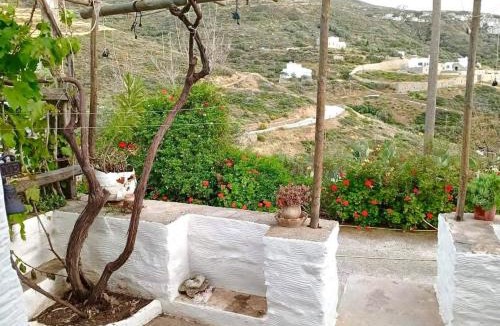 Amorgos Apartment | Lefkiani House