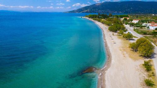 Vatoussa Apartment | Lesvos Garden Retreats - Mountain Voyage Residences