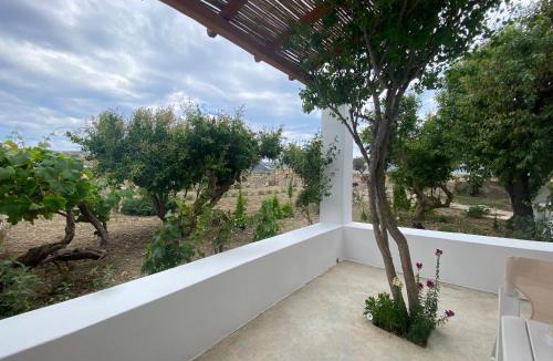 Zefiria House | Living In The Nature