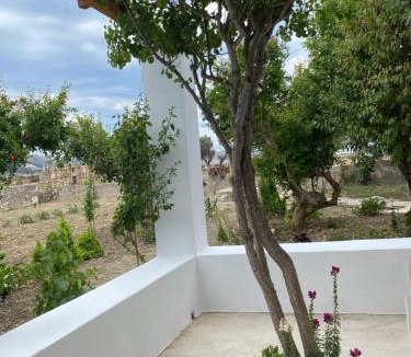 Zefiria House | Living In The Nature