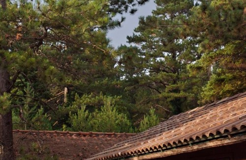 Llogara National Park Cabin | Llogara Wood Lodge
