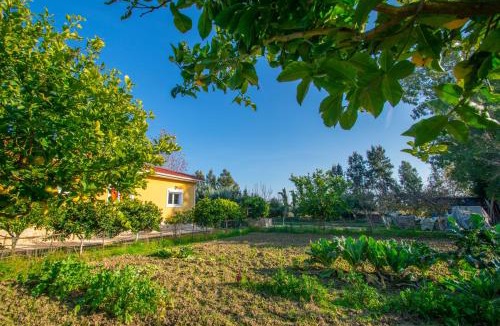 Ayios Kirikos House | Loukas Farm House