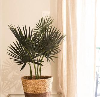 Marousi Apartment | Luma Marousi - Apt with Garden View
