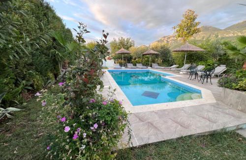 Dajt Villa | Luxury Villa - Dar Al Shams 01