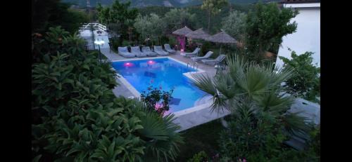 Dajt Villa | Luxury Villa - Dar Al Shams 01