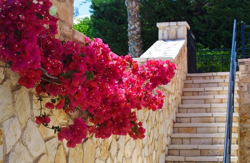Dassia Villa | Luxury Villa Lemonia with Private Pool
