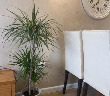 Farke Apartment | Main apartment Rezidenca
