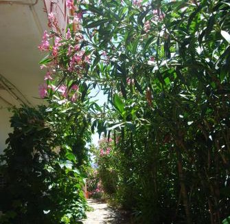 Agia Ermioni Apartment | Maria Rooms