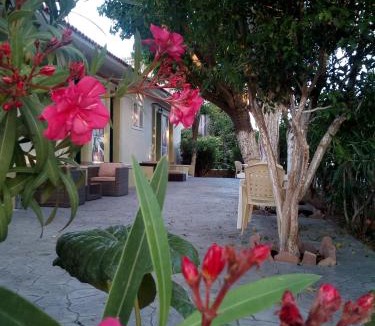 Mytilene Apartment | Melina Apartment