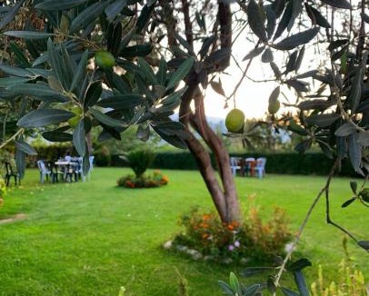 Albania Hotel | Merly Hotel