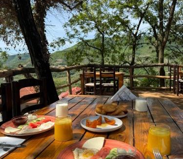 Berat House | Mimani Stone House Roshnik