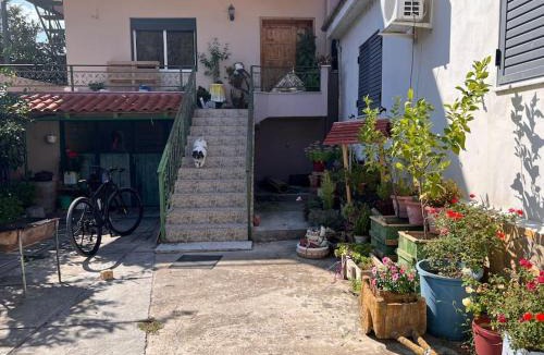 Berat Villa | Monika House