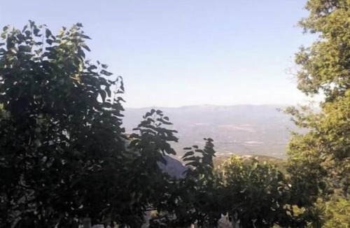 Toriza Apartment | Mountain Tower House close to Sparta, Mystras and Mani! Pet friendly