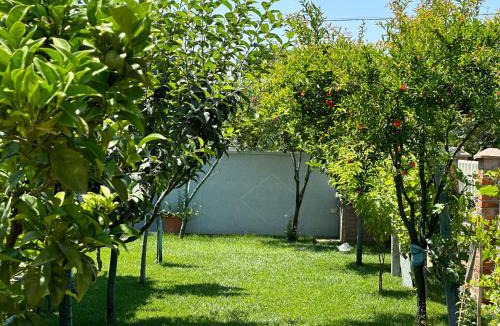 Qerek Apartment | Nature & Sea Escape Spacious Family Villa