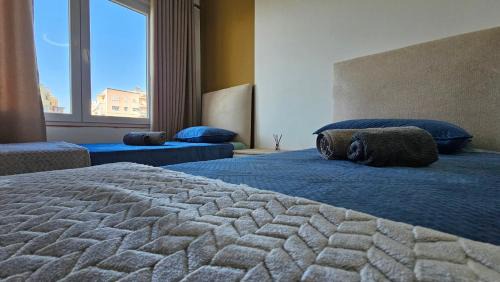 Dajt Apartment | Olive Apartments
