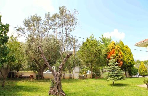 Nea Iraklitsa Villa | ☆OLIVE GARDEN VILLA☆ -NEA IRAKLITSA-