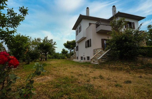 Ano Lechonia House | Olive View Cottage in Pelion