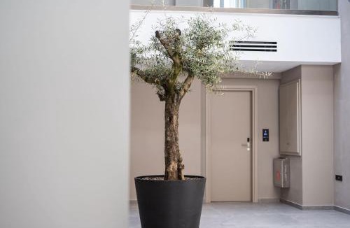 Katerini Hotel | Olympus Jankaea