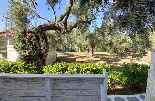 Megalos Prinos Hotel | Orama Thassos