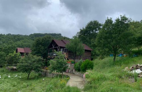 Sinje Ski Chalet | Origjina Farm