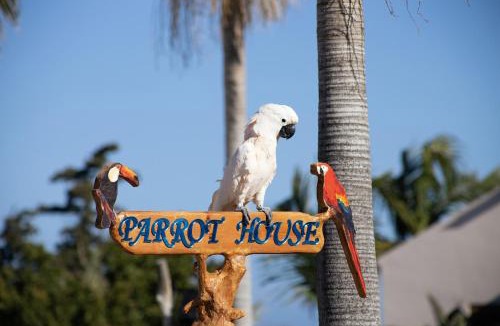 Agia House | Parrot House Tropical Villa in Platanias